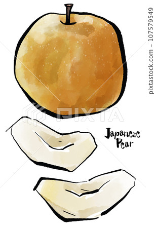 Hand-drawn pear illustration (brush-drawn watercolor sumi-e style) 107579549