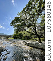 River flow 107580146