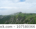 Beautiful view of Mikahara Plateau, cows 107580366