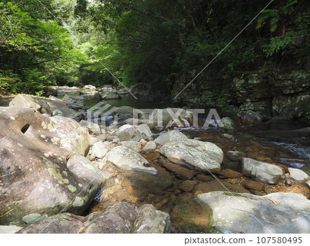 日出川溪流風景（沖繩縣國頭郡國頭村日出大瀧） 107580495