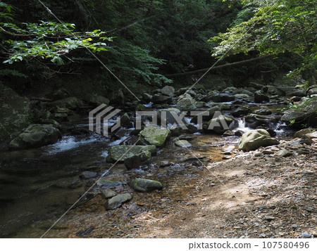 日出川溪流風景（沖繩縣國頭郡國頭村日出大瀧）2 107580496