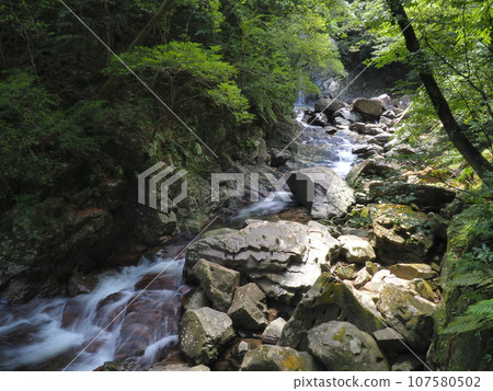 Scenery of the Hiji River mountain stream (Hiji Otaki, Kunigami Village, Kunigami District, Okinawa Prefecture) 4 107580502