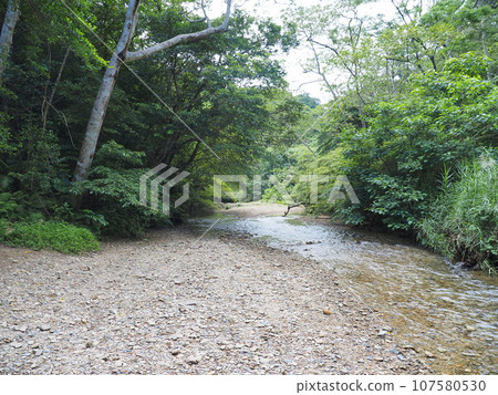 日地大瀧健行路線的風景及河川遊樂區(沖繩縣國頭郡國頭村、日地大瀧) 日地大瀧健行路線的風景及河川遊樂區(沖繩縣國頭郡國頭村、日地大瀧) 107580530