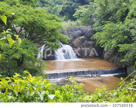 Scenery of Hiji Otaki trekking course (Kunigami Village, Kunigami District, Okinawa Prefecture, Hiji Otaki) 12 Scenery of Hiji Otaki trekking course (Kunigami Village, Kunigami District, Okinawa Prefecture, Hiji Otaki) 12 107580538