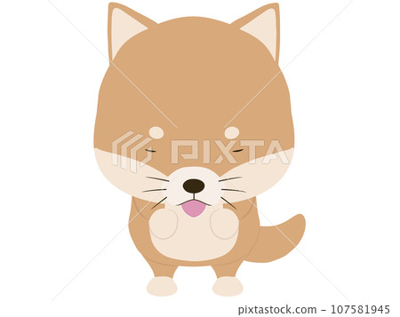 柴犬鞠躬 107581945