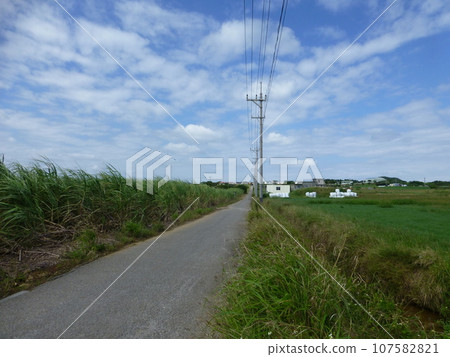 Sugar Road 107582821