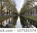 Ginkgo trees reflected on the water surface 107583374