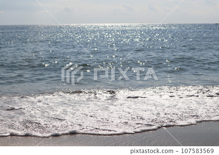 Chita, Minamichita, Mihama-cho, floating-style branched salt fields, sea bathing, tourist destination, sea, eye-opening 107583569