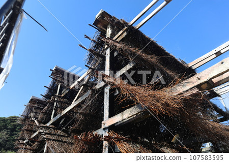 Chita, Minamichita, Mihama-cho, floating-style branched salt fields, sea bathing, tourist destination, sea, eye-opening 107583595