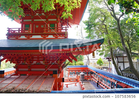 Kobe Suma Temple three-storied pagoda (early autumn) 107583656