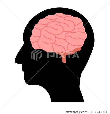 人體輪廓輪廓和大腦 人體輪廓輪廓和大腦 107583911