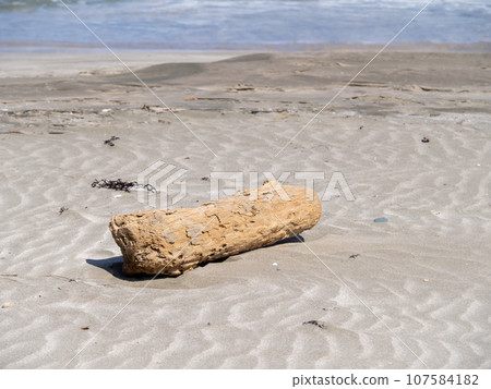 漂流木在沙灘上。 漂流木在沙灘上。 107584182