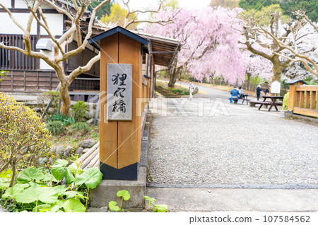 群馬縣 春 小平村石灰岩洞穴公園 浣熊橋 群馬縣 春 小平村石灰岩洞穴公園 浣熊橋 107584562