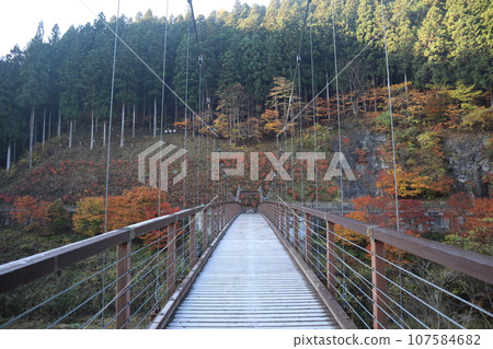 愛知縣豐田市, 豐田市, 稻竹町, 大平公園, WRC JAPAN, 秋葉, 賞秋葉, 吊橋, 觀光 愛知縣豐田市, 豐田市, 稻竹町, 大平公園, WRC JAPAN, 秋葉, 賞秋葉, 吊橋, 觀光 107584682
