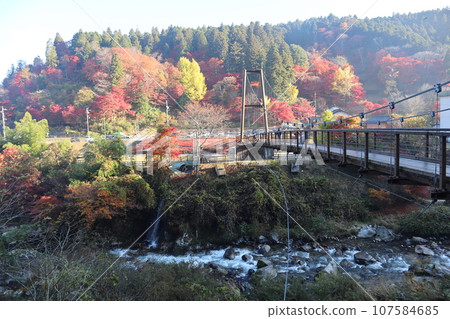愛知縣豐田市, 豐田市, 稻竹町, 大平公園, WRC JAPAN, 秋葉, 賞秋葉, 吊橋, 觀光 愛知縣豐田市, 豐田市, 稻竹町, 大平公園, WRC JAPAN, 秋葉, 賞秋葉, 吊橋, 觀光 107584685