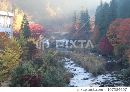 愛知縣豐田市, 豐田市, 稻竹町, 大平公園, WRC JAPAN, 秋葉, 賞秋葉, 吊橋, 觀光 愛知縣豐田市, 豐田市, 稻竹町, 大平公園, WRC JAPAN, 秋葉, 賞秋葉, 吊橋, 觀光 107584697