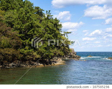 The coast of Wakasa Bay (Shiroyama Park) in autumn (October). Located in Takahama Town, Oi District, Fukui Prefecture. 107585236