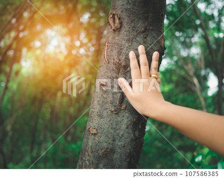 Human hand touching tree in the forest. Concept of people love nature and tree to protect from deforestation and pollution or climate change. earth day concept.Environmental protection concept. 107586385
