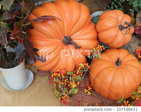 Halloween pumpkin Halloween pumpkin 107586631