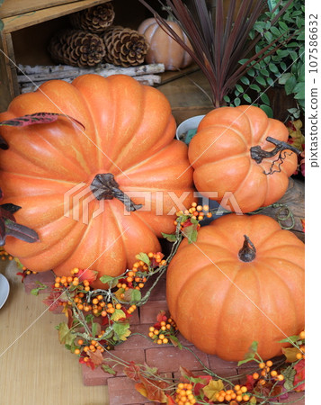 Halloween pumpkin 107586632