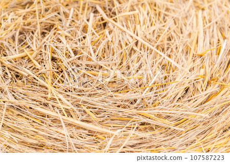 Rice straw 107587223