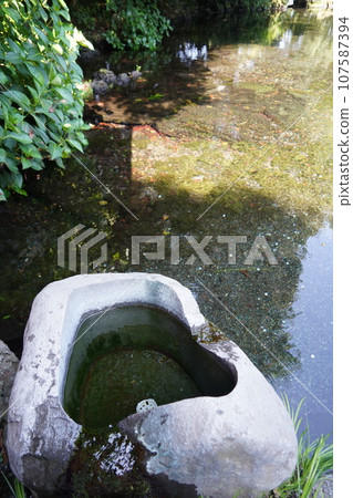 富士山本宮淺間大社是日本全國淺間神社的總社,位於神聖的富士山腳下的靜岡縣富士宮市。 富士山本宮淺間大社是日本全國淺間神社的總社,位於神聖的富士山腳下的靜岡縣富士宮市。 107587394