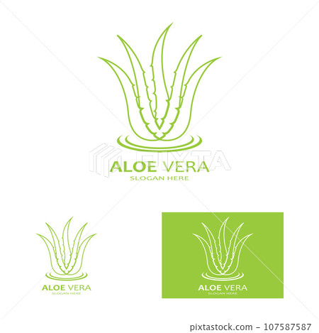 Aloe vera icon logo vector illustration template design Aloe vera icon logo vector illustration template design 107587587