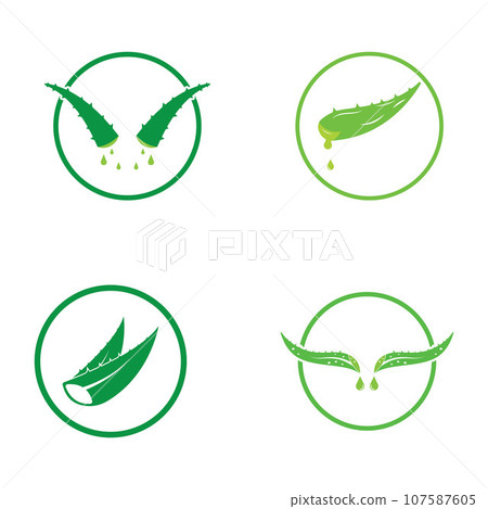 Aloe vera icon logo vector illustration template design Aloe vera icon logo vector illustration template design 107587605