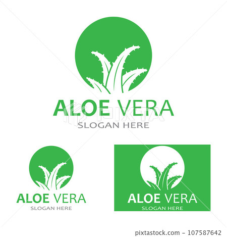 Aloe vera icon logo vector illustration template design 107587642