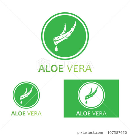 Aloe vera icon logo vector illustration template design Aloe vera icon logo vector illustration template design 107587650