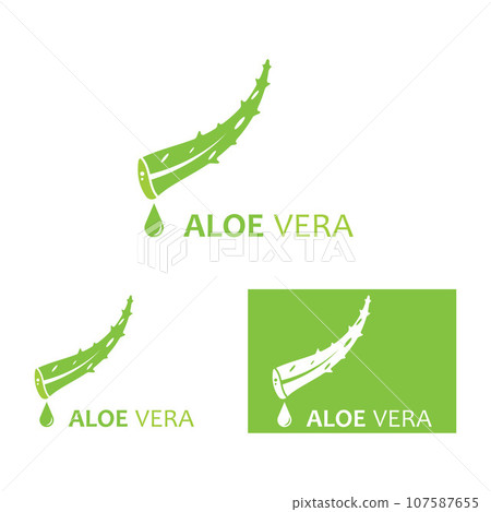 Aloe vera icon logo vector illustration template design 107587655