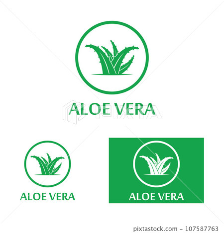 Aloe vera icon logo vector illustration template design Aloe vera icon logo vector illustration template design 107587763