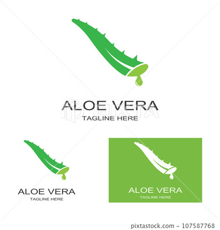 Aloe vera icon logo vector illustration template design 107587768