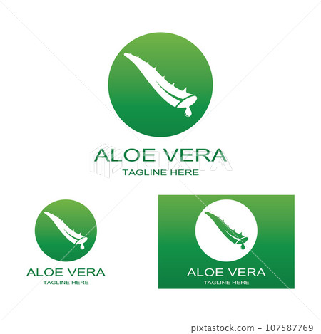 Aloe vera icon logo vector illustration template design Aloe vera icon logo vector illustration template design 107587769