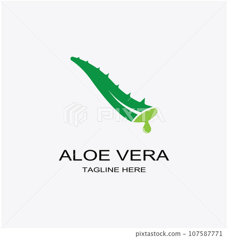 Aloe vera icon logo vector illustration template design Aloe vera icon logo vector illustration template design 107587771