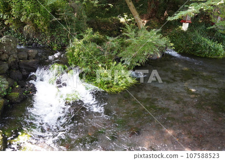 富士山本宮淺間大社是日本全國淺間神社的總社，位於神聖的富士山腳下的靜岡縣富士宮市。 107588523