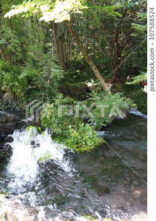 富士山本宮淺間大社是日本全國淺間神社的總社，位於神聖的富士山腳下的靜岡縣富士宮市。 107588524