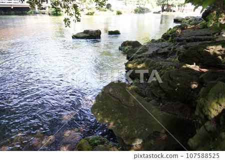 富士山本宮淺間大社是日本全國淺間神社的總社，位於神聖的富士山腳下的靜岡縣富士宮市。 107588525