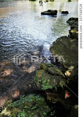 富士山本宮淺間大社是日本全國淺間神社的總社，位於神聖的富士山腳下的靜岡縣富士宮市。 107588526