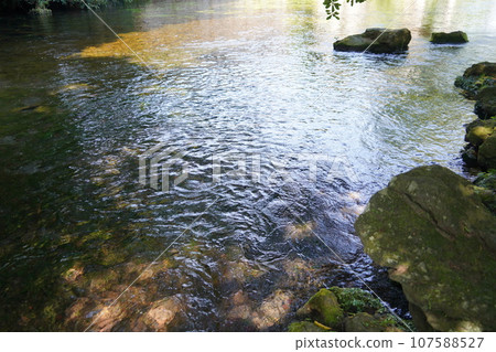 富士山本宮淺間大社是日本全國淺間神社的總社，位於神聖的富士山腳下的靜岡縣富士宮市。 107588527