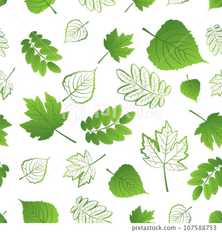 Seamless pattern of fresh different juicy green leaves on a white background Seamless pattern of fresh different juicy green leaves on a white background 107588753
