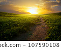 Beautiful mountainous rural landscape; Field panorama with dirt road and cloudy sky at sunset. 107590108