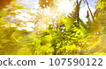 Art abstract summer forest sunny nature background 107590122