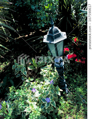 garden gardening garden gardening 107590617