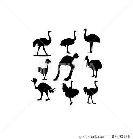 collection set bird ostrich design 107590936