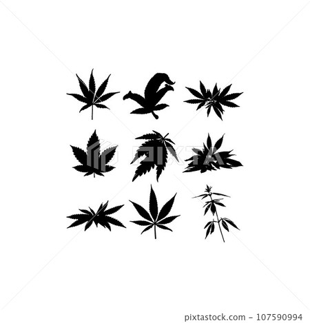 Cannabis leaf set icon silhouette Cannabis leaf set icon silhouette 107590994