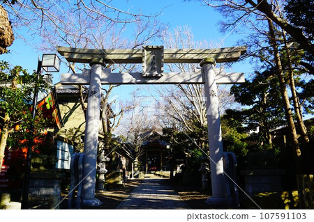 千葉銫子長湊神社 107591103