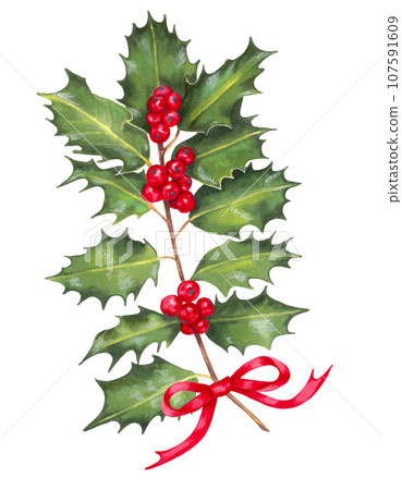 Holly branch with red berries and a red bow. Botanical illustration for holiday decoration. Christmas, New Year.Modern element for card, banner. paper, wallpaper. Isolated handmade art 107591609