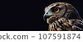Owl head in profile or side close up. Panoramic image of the owl's head on the right against the background of a black isolated banner. 107591874