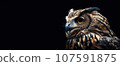 Owl head in profile or side close-up. Panoramic image of the owl's head on the left against the background of a black isolated banner. 107591875
